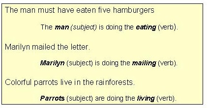 Three sentences broken down awkwardly but are nonetheless true... The man is doing the eating, Marilyn is doing the mailing, and Parrots are doing the living.